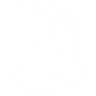 regain
