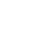 BRUTE