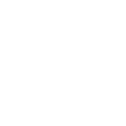 BRUTE