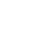 BRUTE