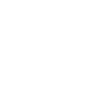 BRUTE