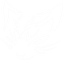 TEAM XDM