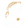 Animus Victoria