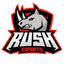 RUSH Gaming