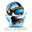 DiscoSkridsko