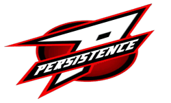 Persistence