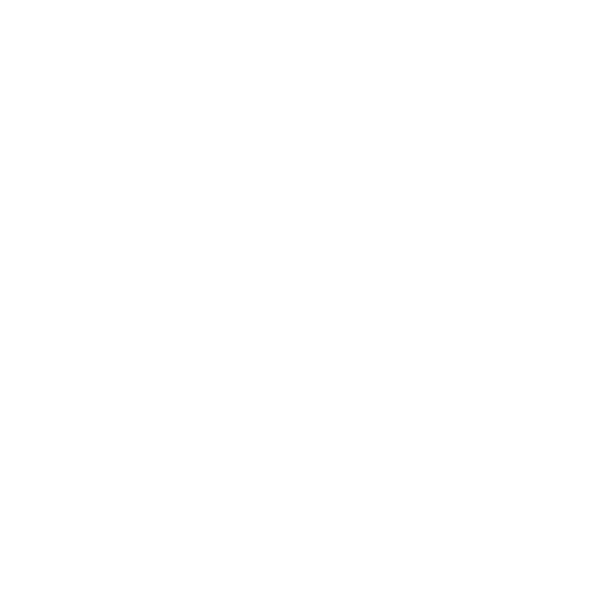 Spirit Academy