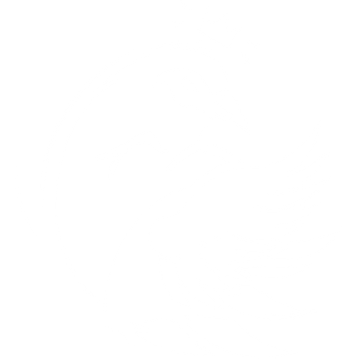 Team Pigeons