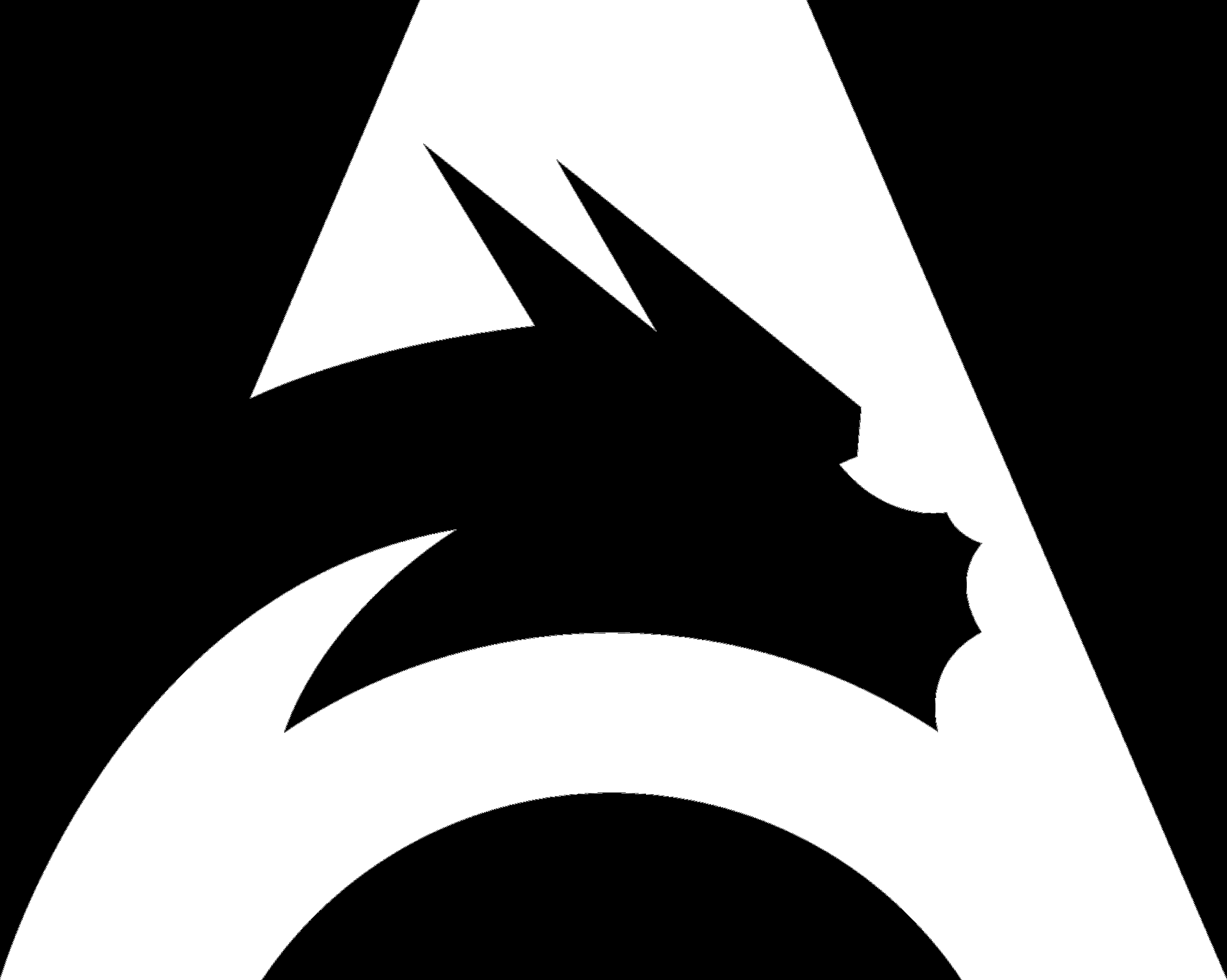 Логотип Team Spirit Academy.