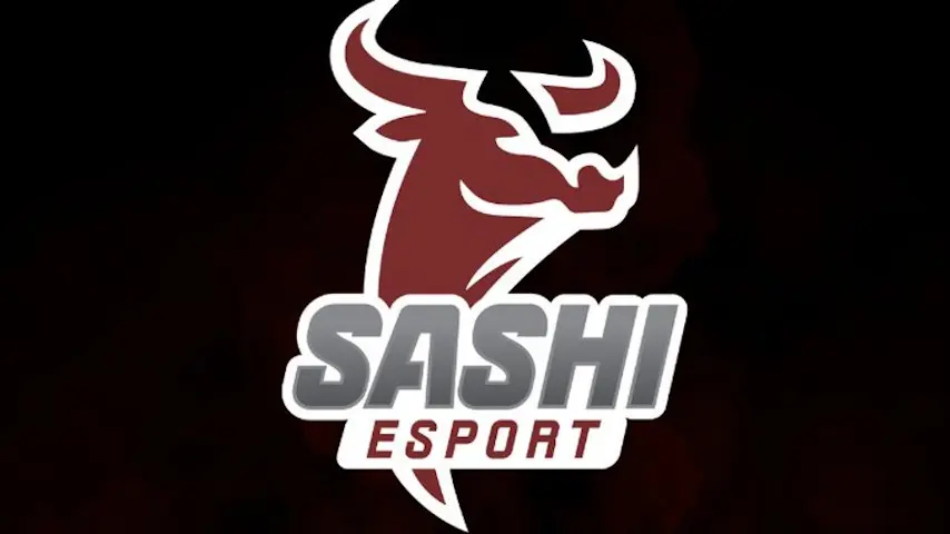 Логотип Sashi Esport.