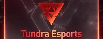 Логотип Tundra Esports на The International 2025.