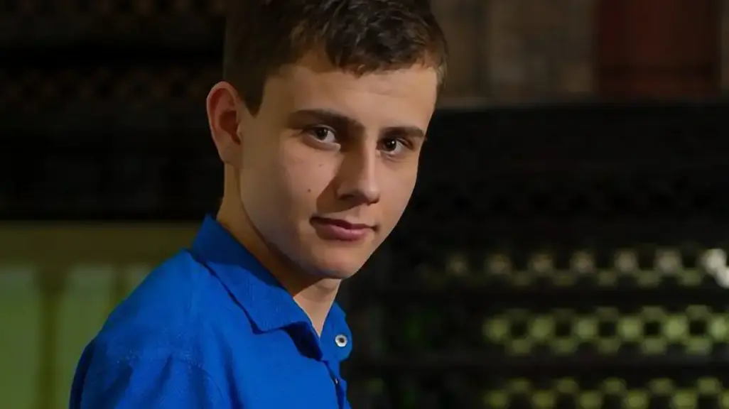 Стример Wizer