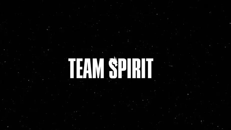 Логотип Team Spirit.