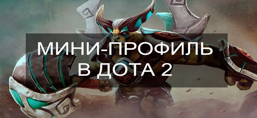 profile_dota2