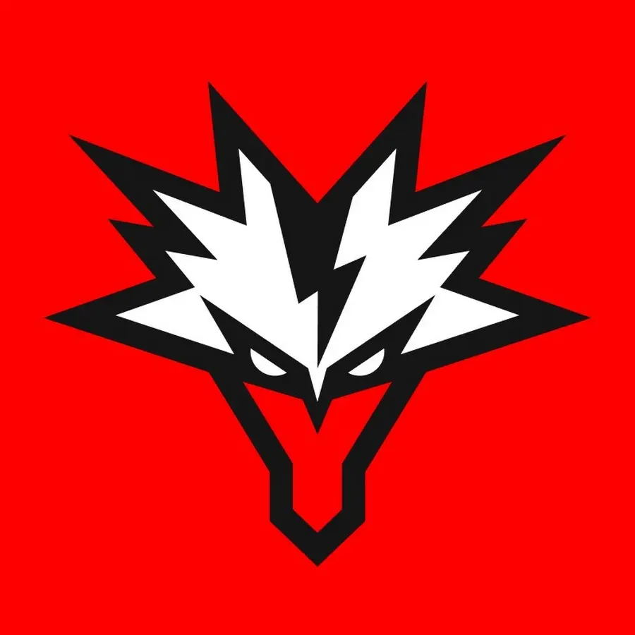Логотип Team Yandex